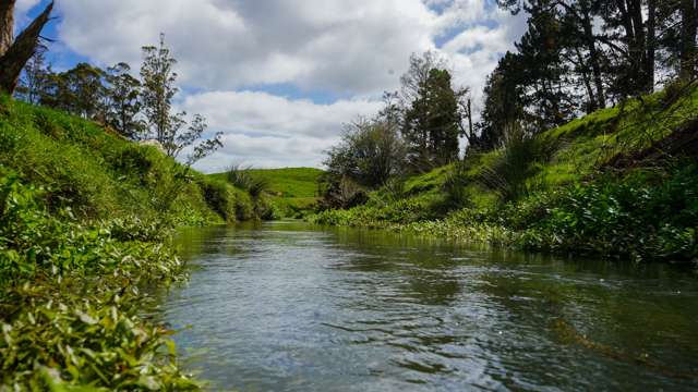 3629 State Highway 2 and Coxhead Road Mangatarata_2