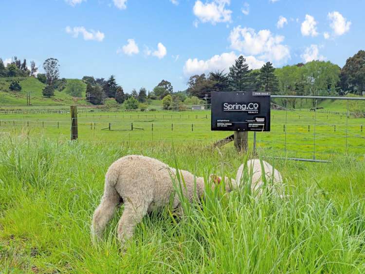 28 Kakariki Street Mangaweka_6