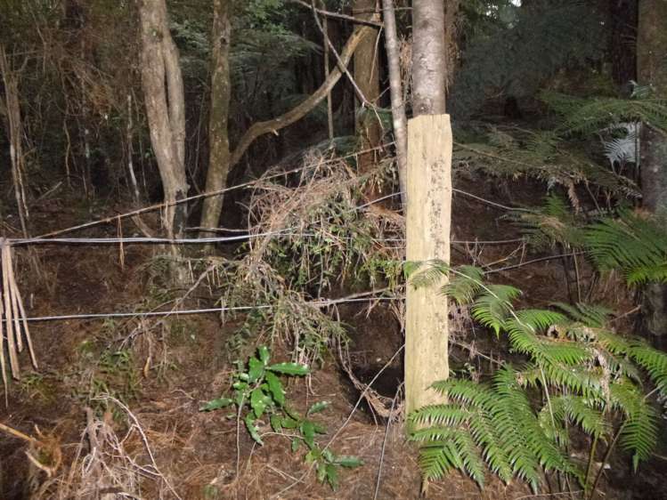 37 Makene Road Mangamuka_8