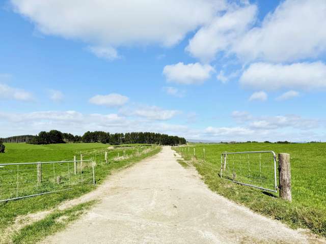 753 Pongakawa Bush Road Pongakawa_2