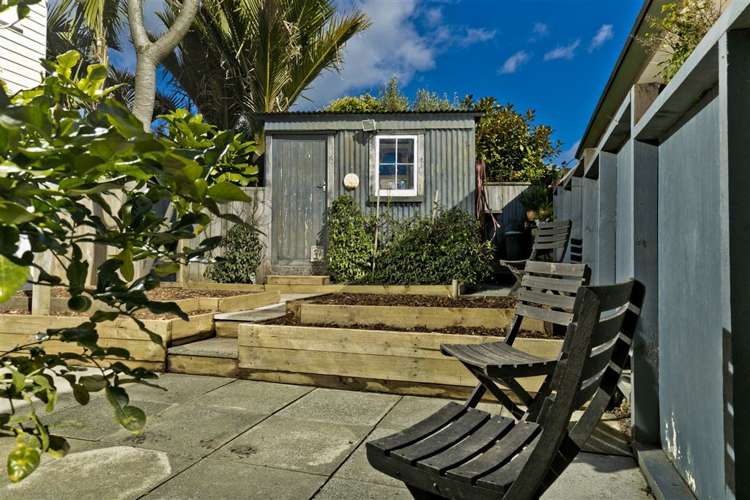 19 Hanlon Crescent Narrow Neck_10