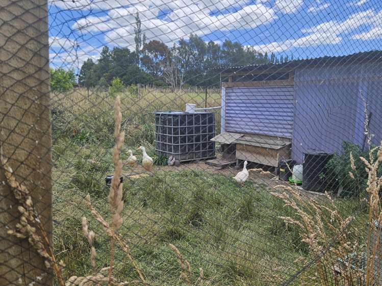 Middle Street Reidston_9