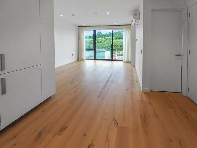 103/1 Purewa Road Meadowbank_2