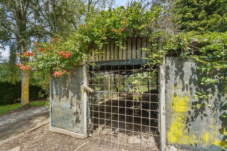 125 Forestry Road Ashley_16