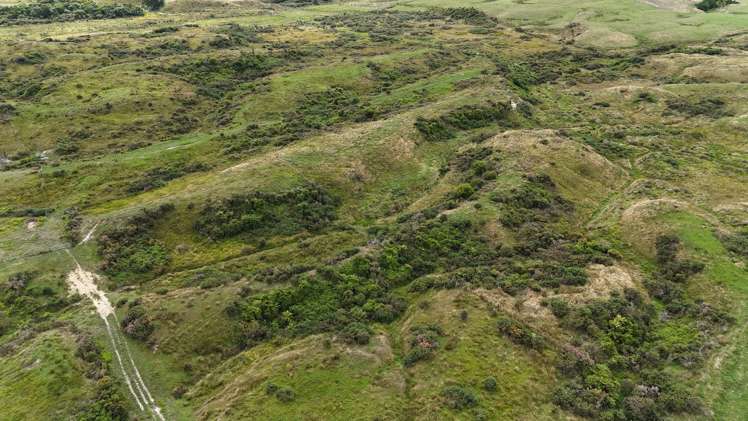 980 Wilsons Lead Road Cape Foulwind_13