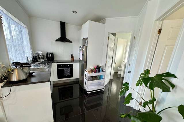 1A Ryden Place Glen Eden_1