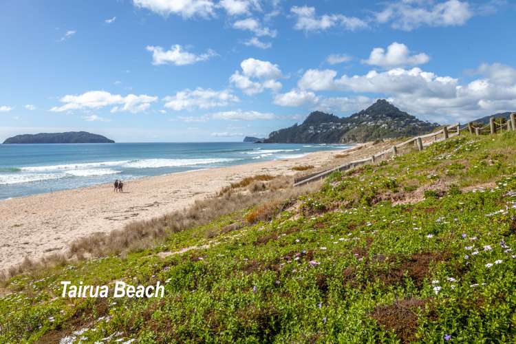 13 Chestnut Grove Tairua_17