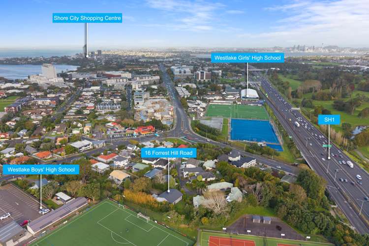 16 Forrest Hill Road Forrest Hill_24