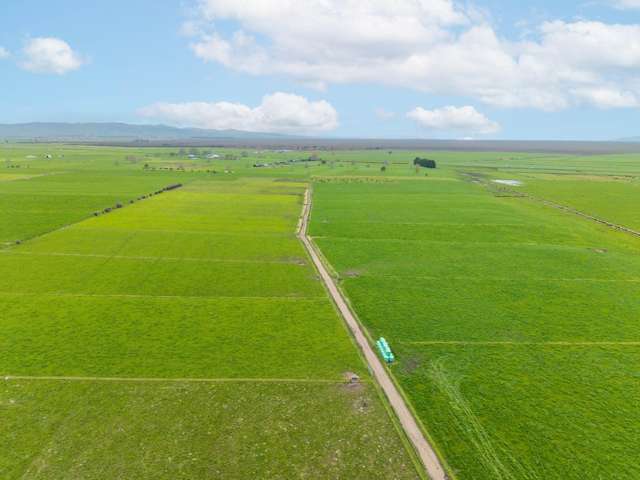 76 Otway Road Te Aroha_3