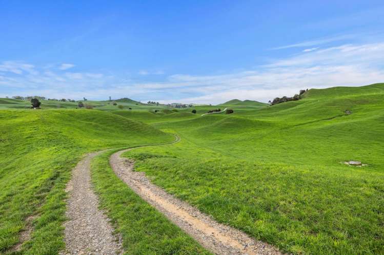 310 Paparamu Road Piarere_21