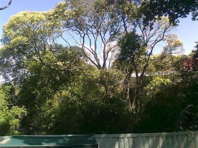 35 Ngaio Street Otahuhu_4