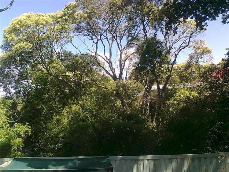 35 Ngaio Street Otahuhu_4