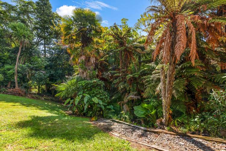 55 Hillcrest Road Whakatane_34