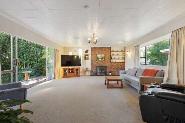45 Leefield Street Blenheim_3