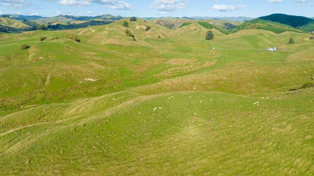 Kaitawa Road Pahiatua_4