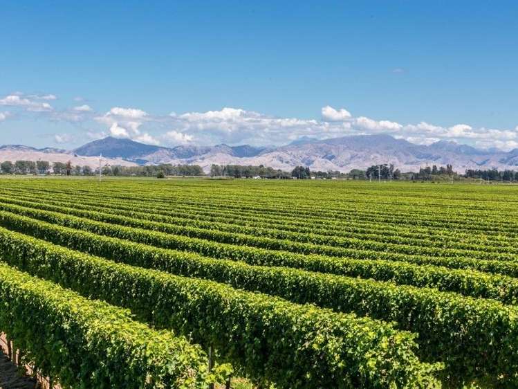 75 Pembers Road Tuamarina_3