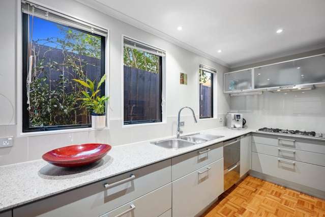39a Alberta Street Point Chevalier_1