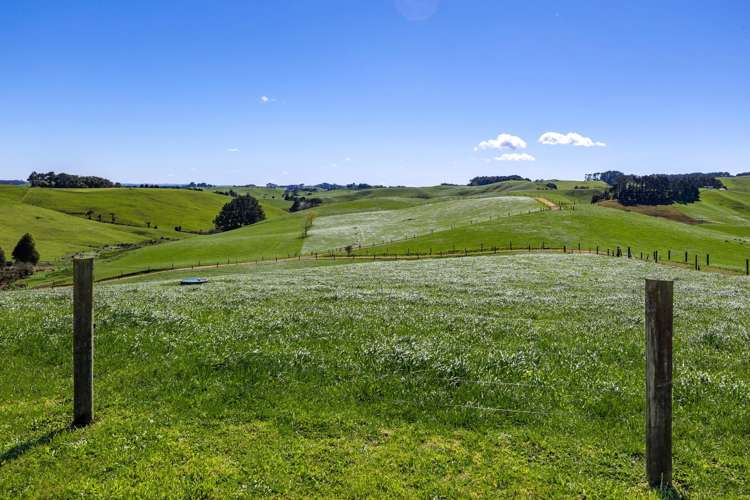 44 Te Papatapu Road Raglan_12