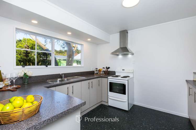 76 Gemstone Drive Birchville_7