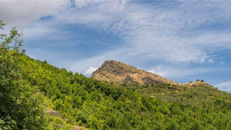 24 Norfolk Street Arrowtown_27