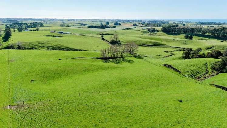 319 Waiau Road Onaero_23