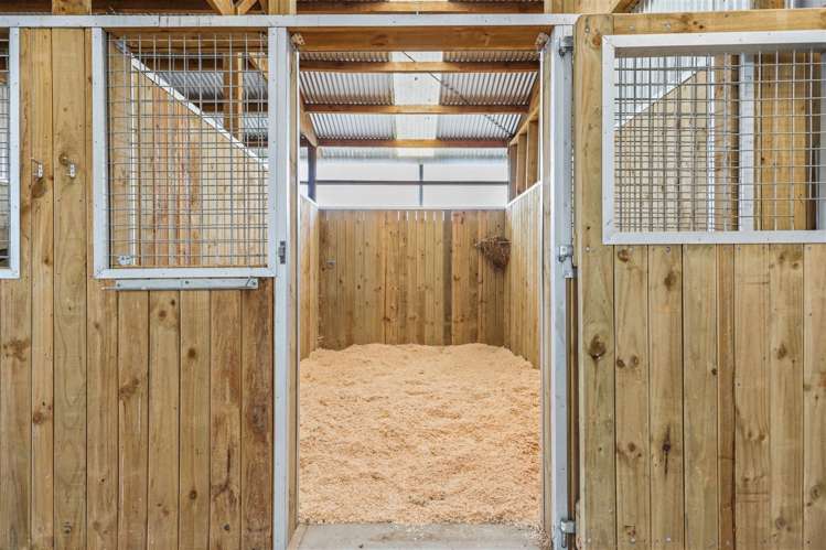 27c Marshmeadow Road Newstead_29