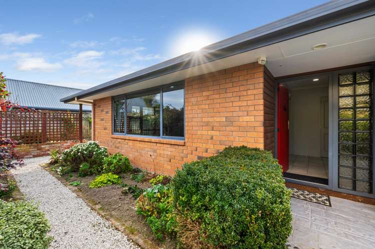 3A Livingstone Place Springlands_12