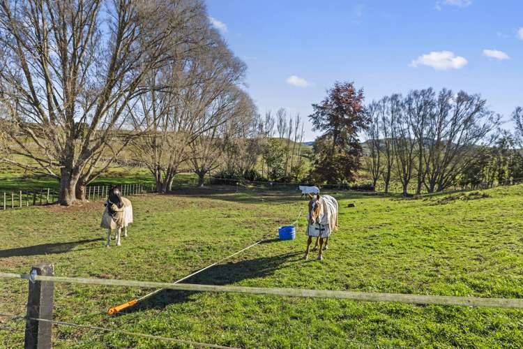 168 Ormsby Road Pirongia_17