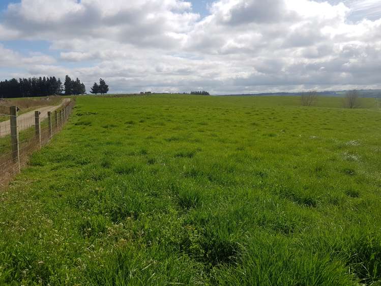 173 Soper Road Clinton and Surrounds_7