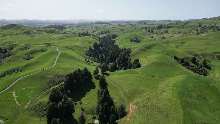 953 State Highway 3 Piopio_25