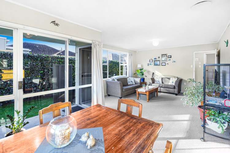 5a Brooklyn Road Claudelands_3