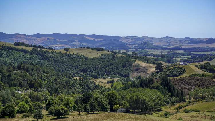 43b Walls Road Waihi_10