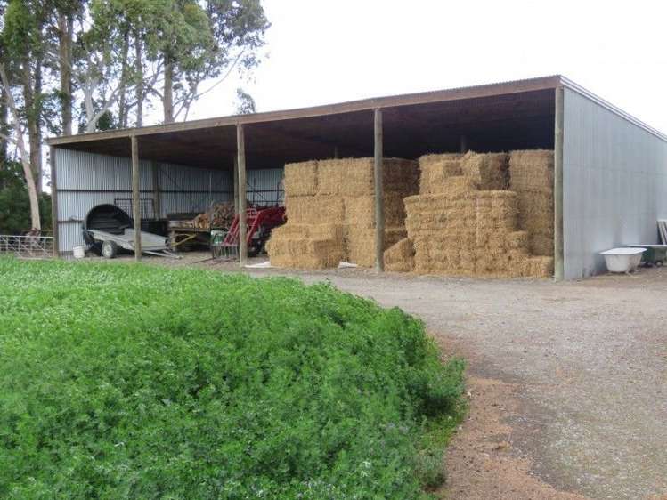 315 Racecourse Road Allenton_11