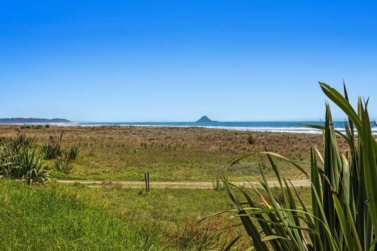 233 Ohiwa Beach Road Opotiki and Surrounds_9