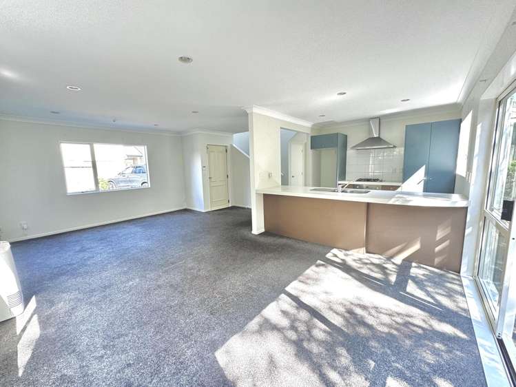 10B Trafalgar Street Johnsonville_1