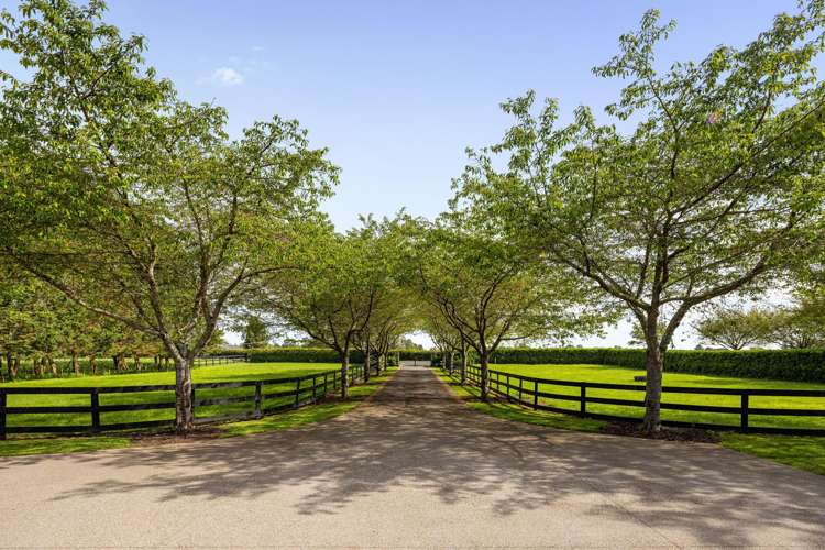 354 Bruntwood Road Tamahere_42