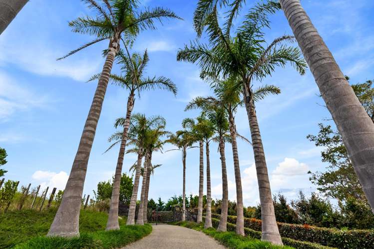 31 Coatesville Heights Coatesville_25