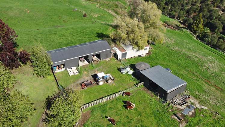 998 Limeworks Loop Road Te Pahu_38