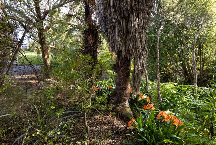 8 Ward Street Springlands_27