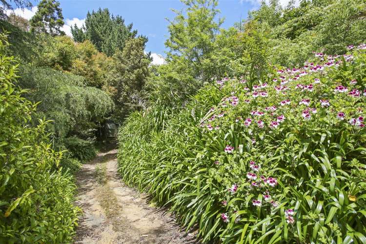 370 Onewhero-Tuakau Bridge Road Onewhero_17