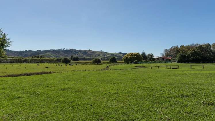 556 Te Puke Highway Te Puke_11