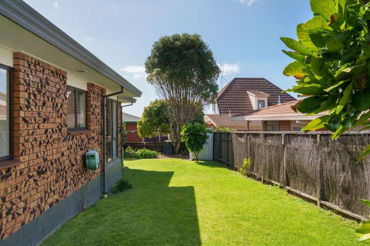 8B Shearman Grove Tauranga Central_6