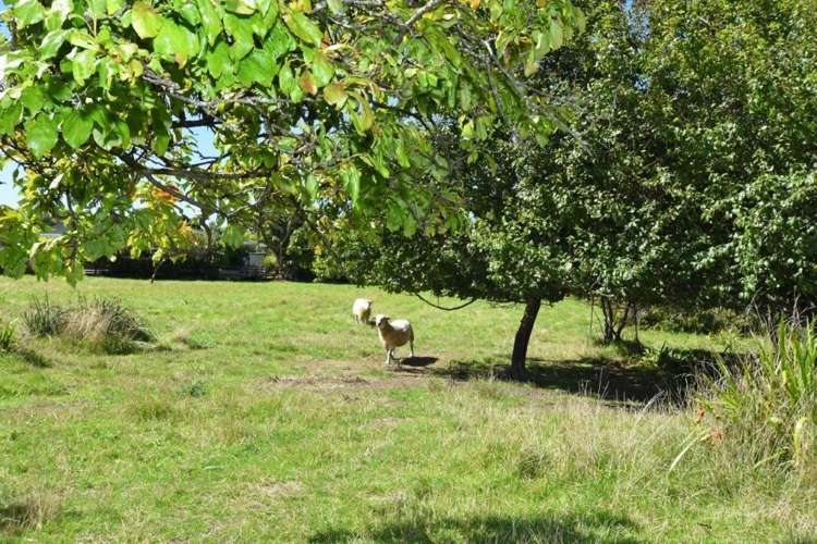 20 Lansdowne Crescent Masterton_20