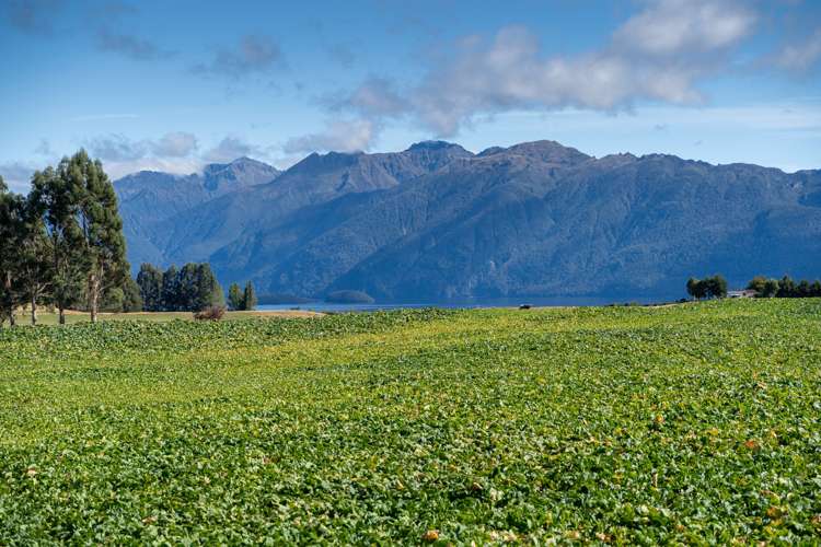 162 Sinclair Road Te Anau_14