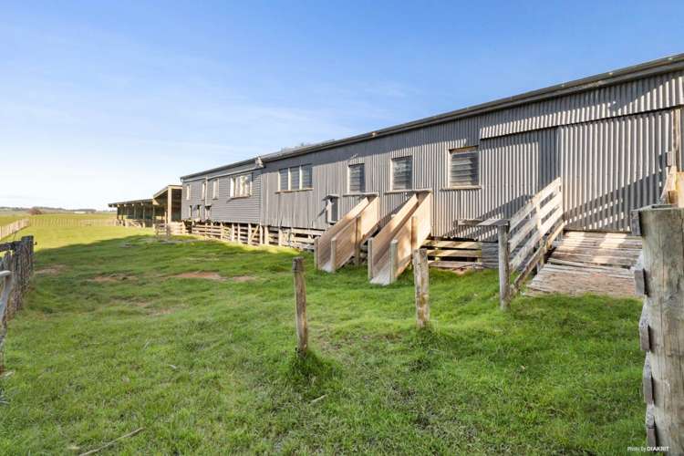 215 Allen and Eyre Road Onewhero_5