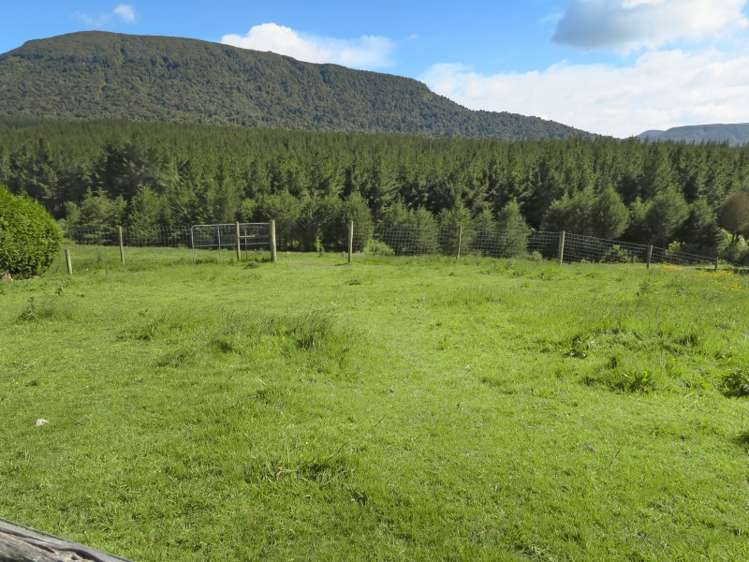 2350 Tahakopa Valley Road Catlins Surrounds_18