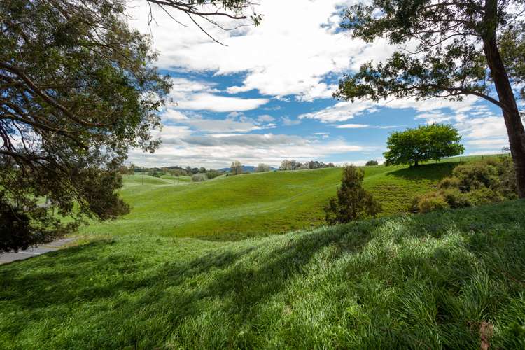 Waotu Road Putaruru_8