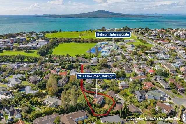 207 Lake Road Belmont_3