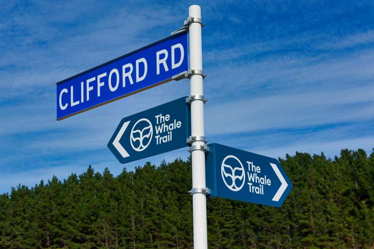 Corner Marfells Beach and Clifford Roads Lake Grassmere_38