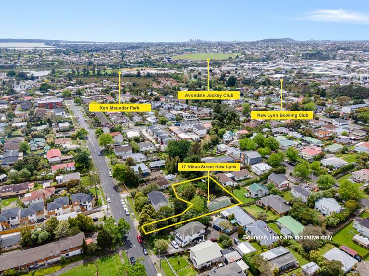 17 Nikau Street New Lynn_24